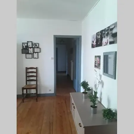 Chaleureux De 82m2 Proche De Vulcania Lägenhet *