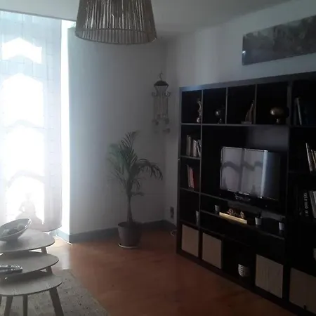 Chaleureux De 82m2 Proche De Vulcania Lägenhet