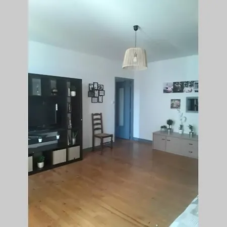 Apartment Chaleureux De 82m2 Proche De Vulcania