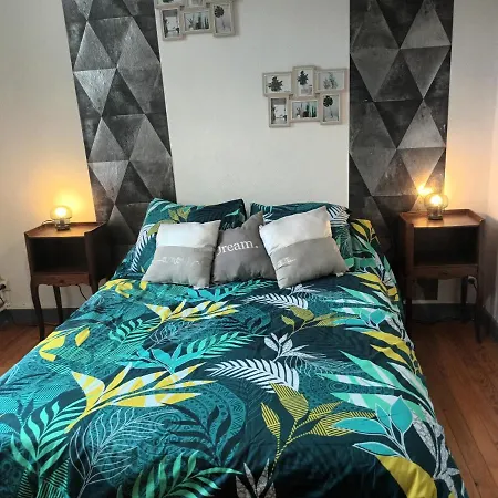 Chaleureux De 82m2 Proche De Vulcania 公寓 *