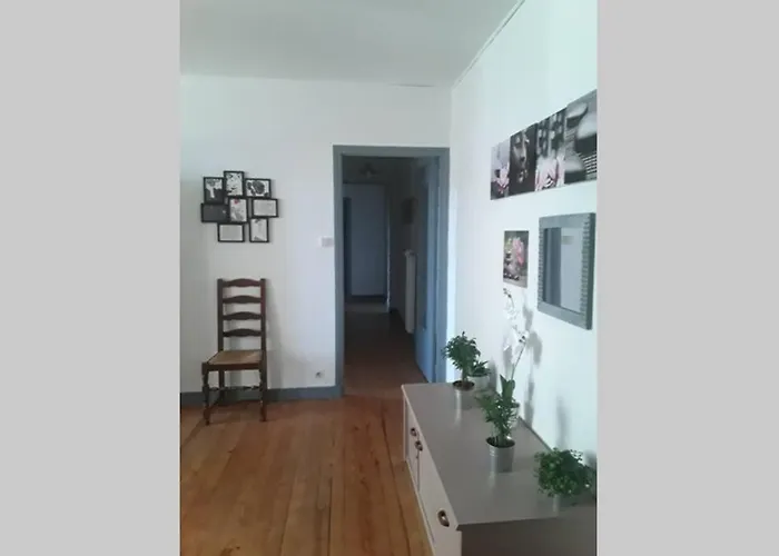 Chaleureux De 82m2 Proche De Vulcania 公寓 *