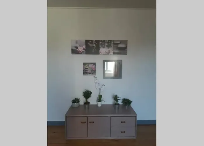 Chaleureux De 82m2 Proche De Vulcania 公寓