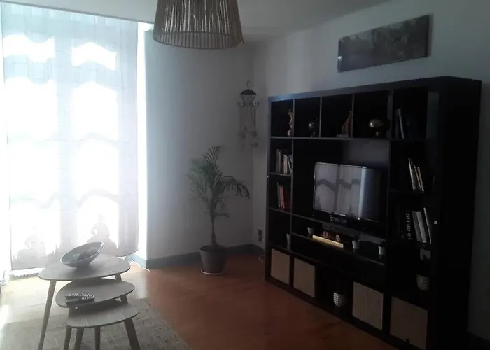 Chaleureux De 82m2 Proche De Vulcania 公寓