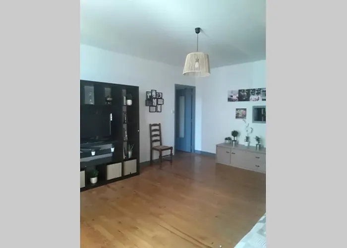 公寓 Chaleureux De 82m2 Proche De Vulcania