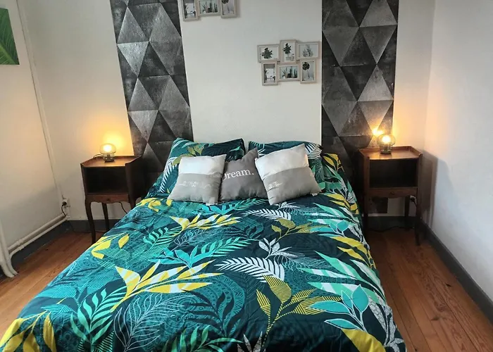 Chaleureux De 82m2 Proche De Vulcania 公寓 *