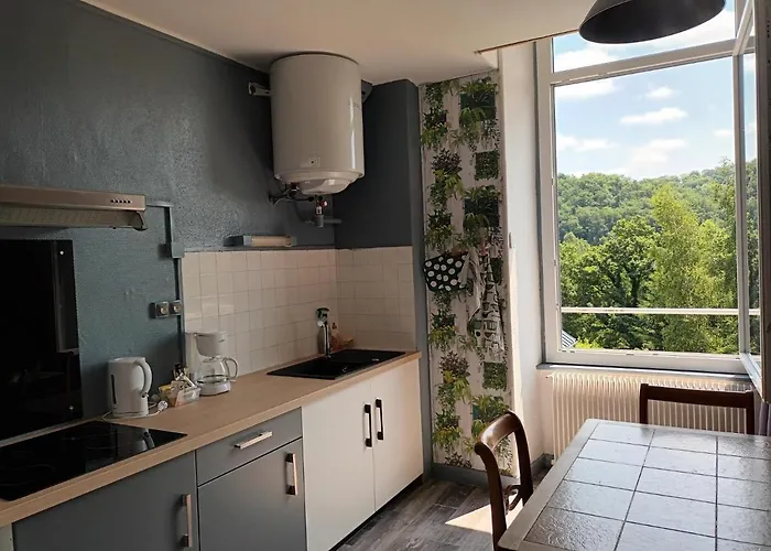 公寓 Chaleureux De 82m2 Proche De Vulcania *