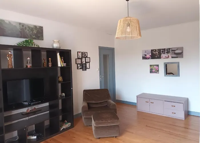 Chaleureux De 82m2 Proche De Vulcania 公寓 Pontaumur